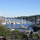 Harbor summer Camden, Maine