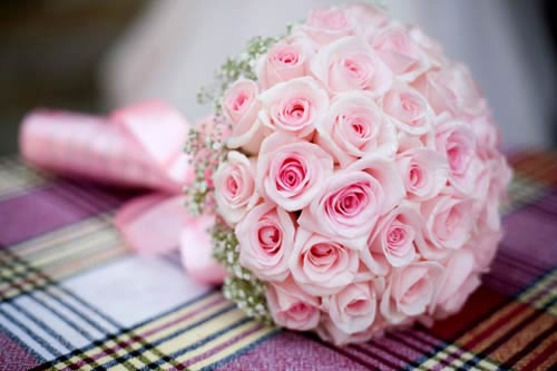 posy