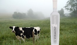 milk